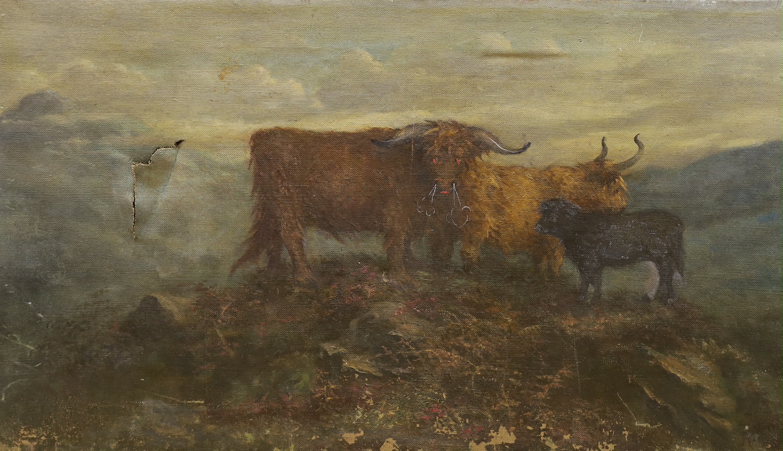 Scottish School c.1900, oil on canvas, Highland cattle with satanic embellishment, indistinctly signed, 48 x 87cn, unframed (a.f.)